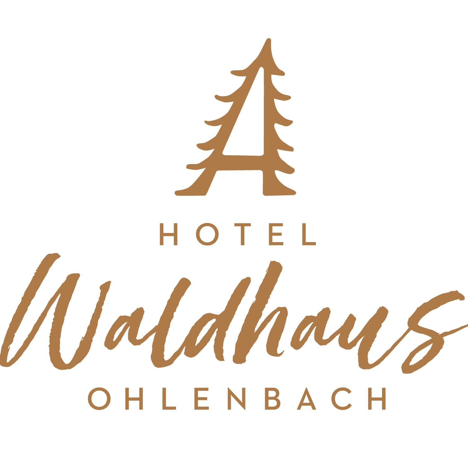 Hotel Waldhaus Ohlenbach / Die Sterne im Sauerland